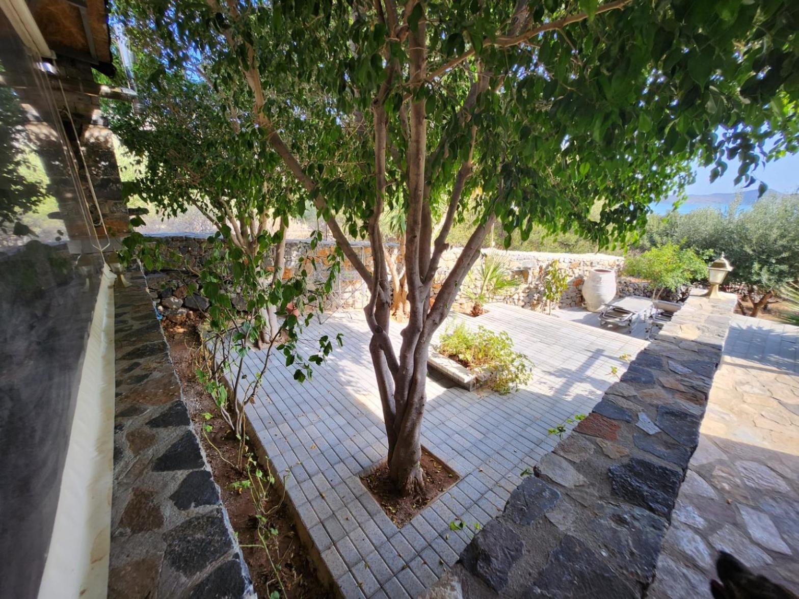 Villa Maria Elounda エクステリア 写真