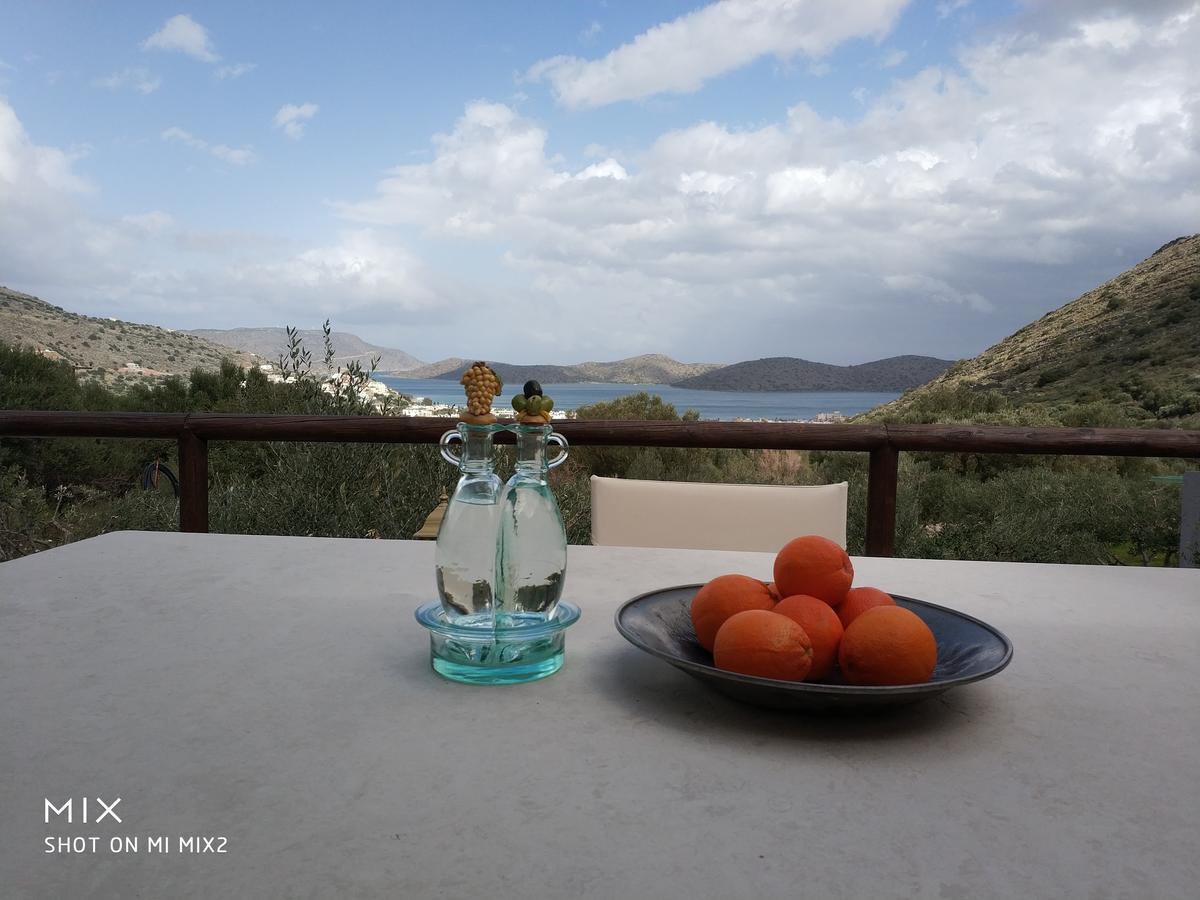 Villa Maria Elounda エクステリア 写真